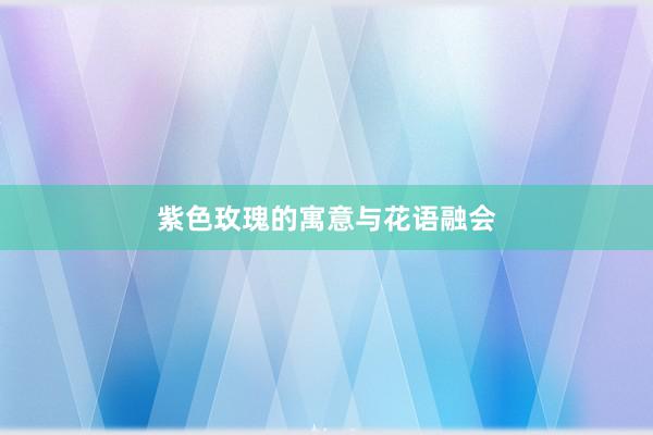 紫色玫瑰的寓意与花语融会