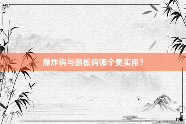 爆炸钩与翻板钩哪个更实用？